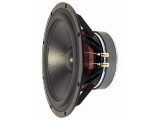 Visaton TIW 300 Woofer 8 Ohm Woofer