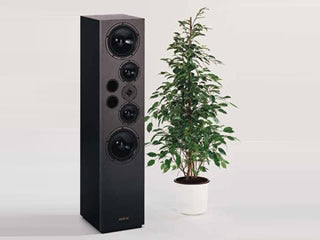 Visaton EXPERIENCE V 20 - price per pair.