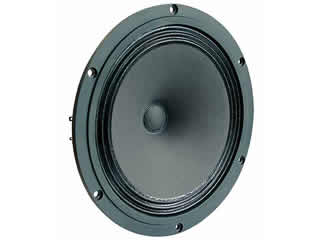 Visaton B200 | 6 Ohm - 20cm/8ins High-End full range loudspeaker 
