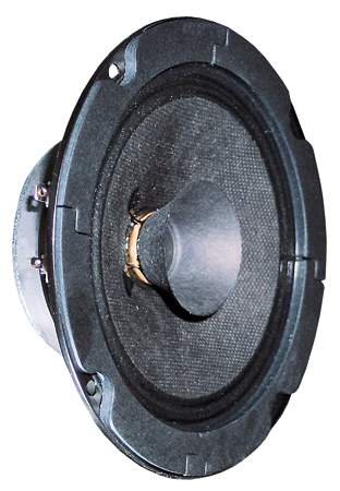 BG 13 P · 8 Ω · part 3011 — Product photo