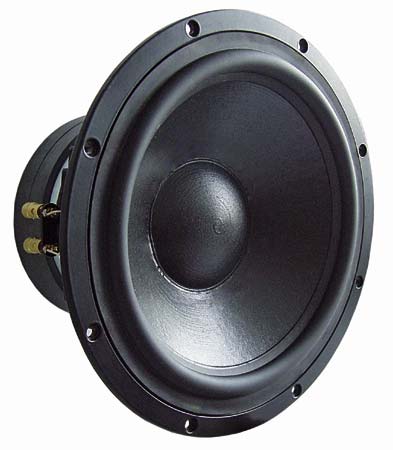 TIW 300 · 8 Ω · part 1364 — Product photo