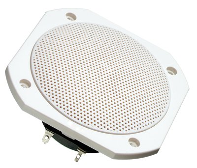 FRS 10 WP · 4 Ω · white · part 2102 — Product photo (shared by the 4 Ω and 8 Ω versions)
